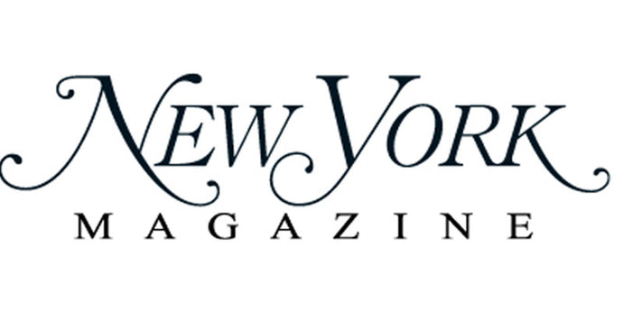 Best Oscillating Vibrator of 2019 - NYMAG.COM