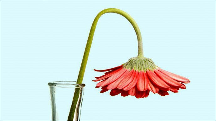 The Most Common Sexual Challenges For Women, And How To Overcome Them